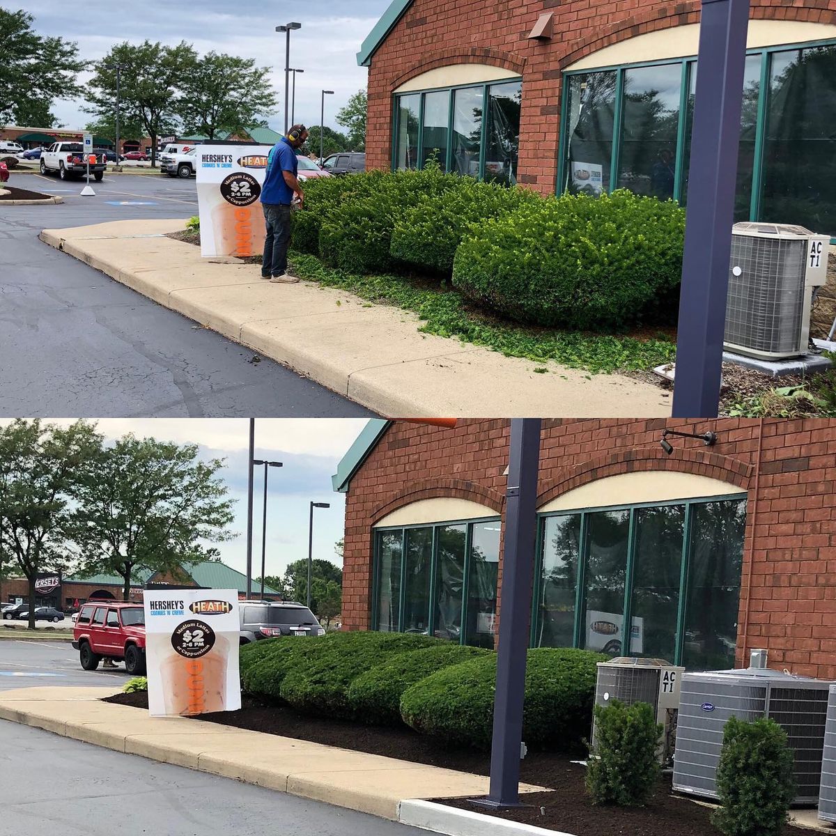 Shrub Trimming for Curb Impressions in Toledo,  OH