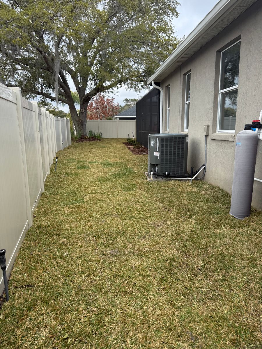 Landscape Installation for Amerigrown Tree And Lawn in Apopka, FL
