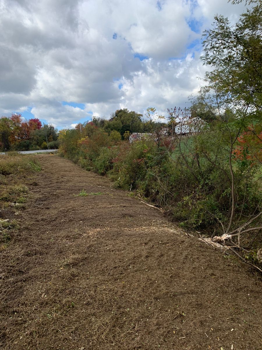 Land Clearing for Penn Top Property Services in Lake Meade, PA