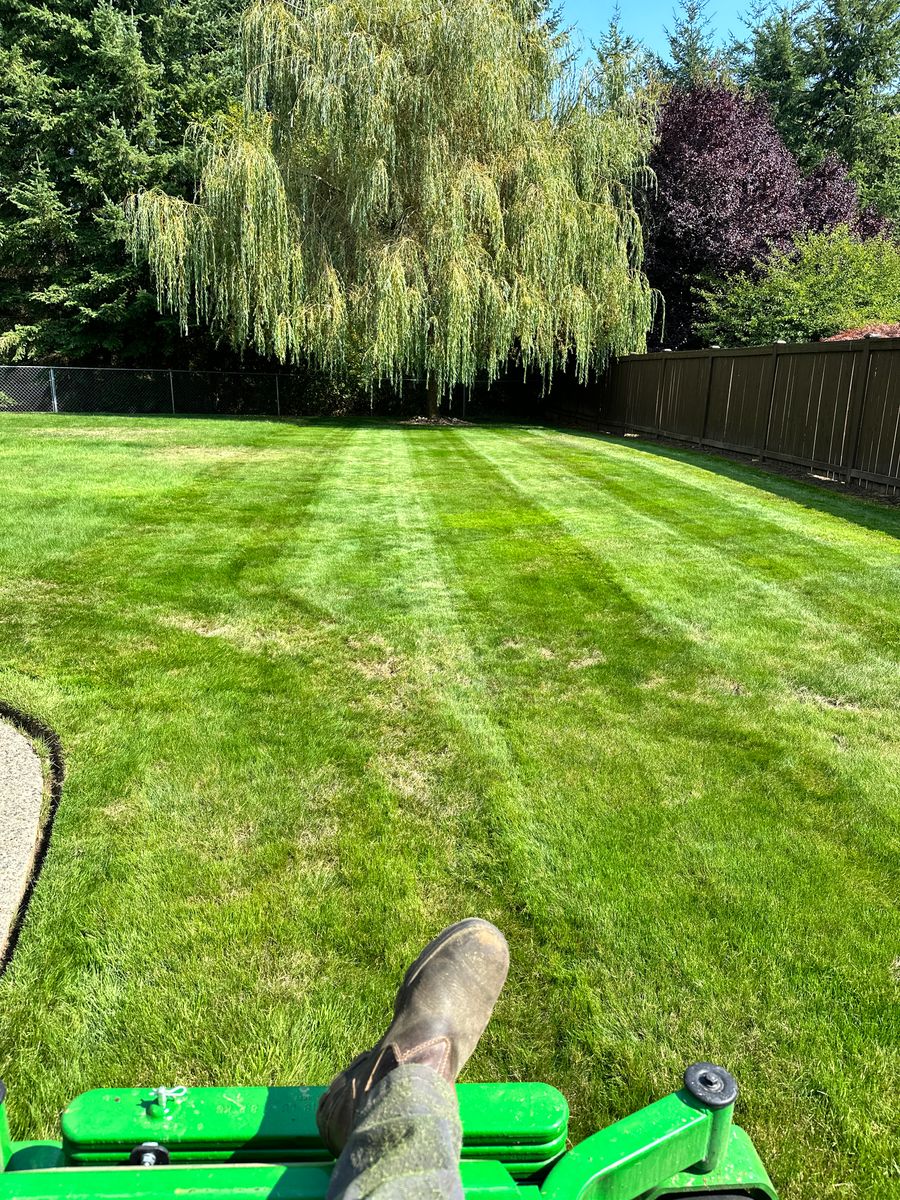 Landscape Maintenance for SAW Enterprises  in Arlington, WA