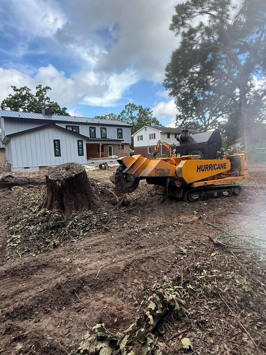 Stump Excavation for Dozier Stump Grinding in Augusta, GA