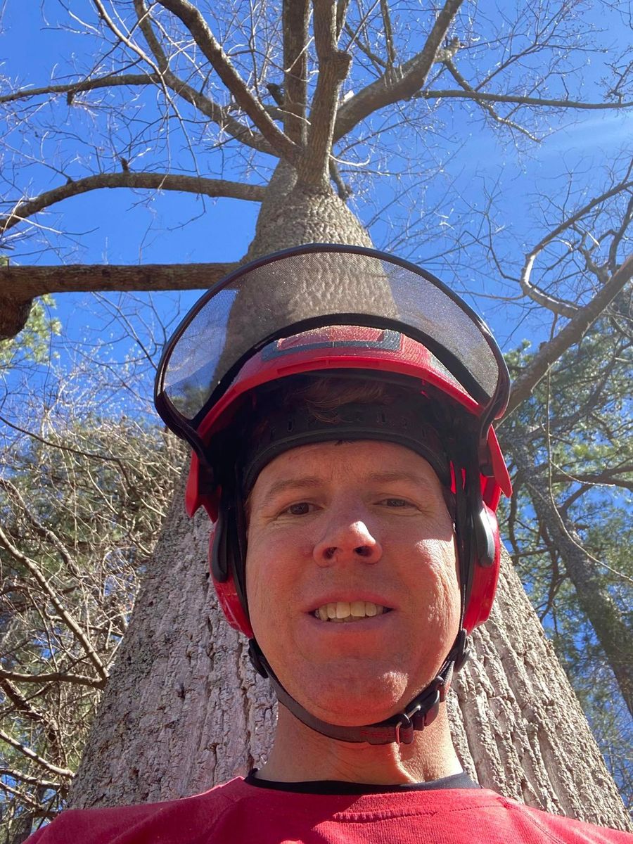 Tree Removal for Pinedown LLC in Cherokee County, GA