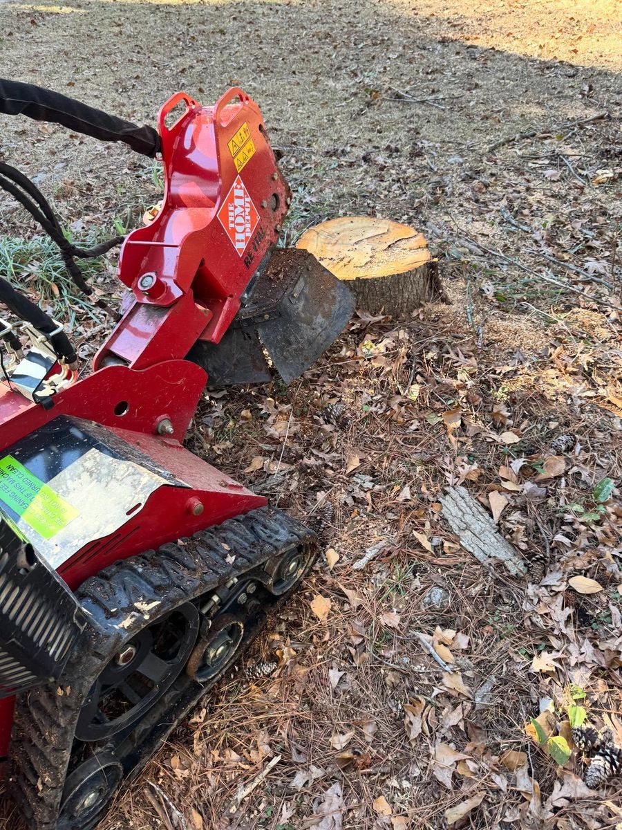 Other Lawn Services for Shang's Landscaping Service in Columbia, South Carolina