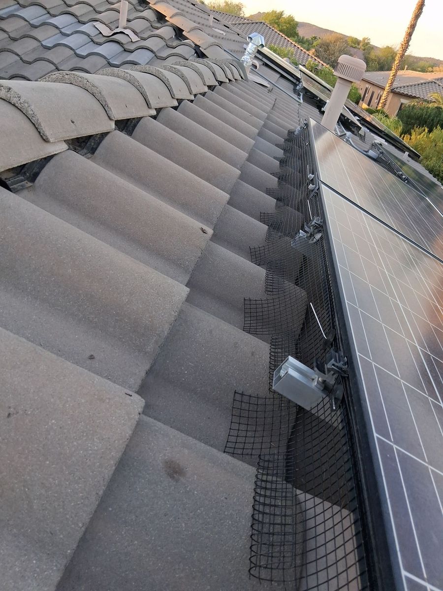 Bird Proofing for Olson & Sons Contracting in Mesa, AZ