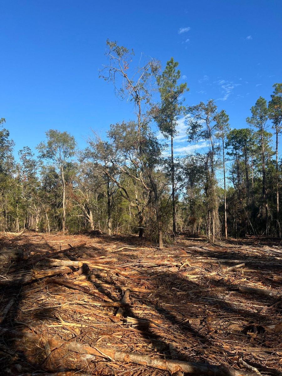 Forestry mulching for Bay Hill Development in Nahunta, GA