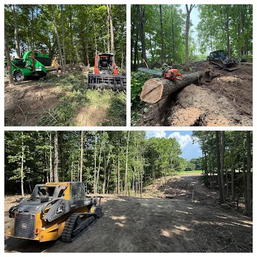 Forestry Mulching & Tree Removal for Palmer Property Services in Middleville, MI