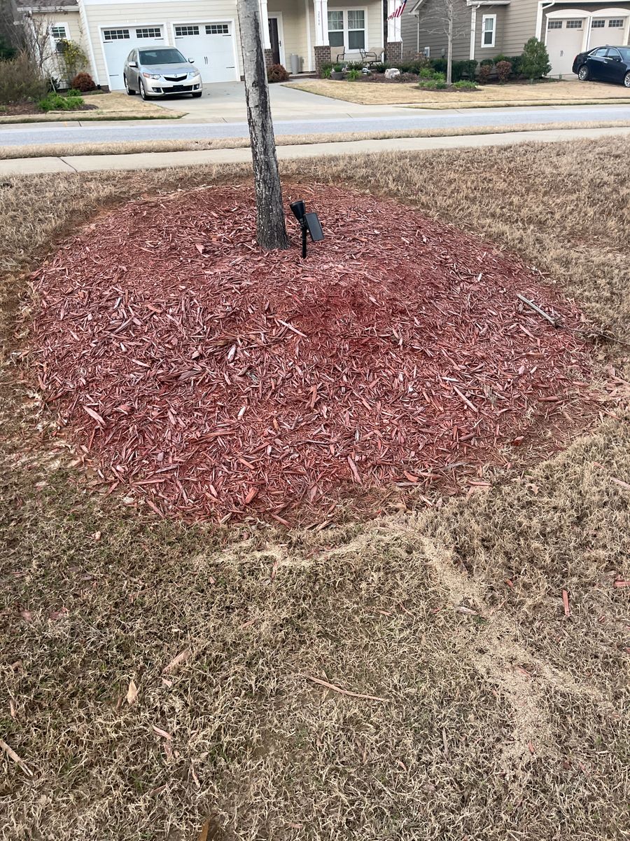 Landscape Design for Upstate Precision Landscaping in Moore, SC