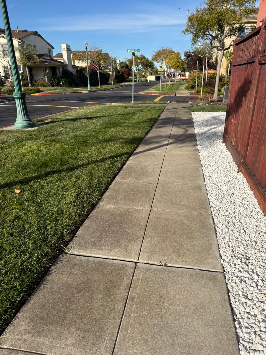 Landscaping for CBA Landscaping in Hayward, CA