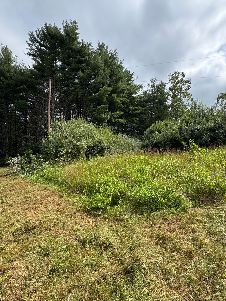 Steep Slope Mowing for Mountain Goat Land Management in Galax, VA