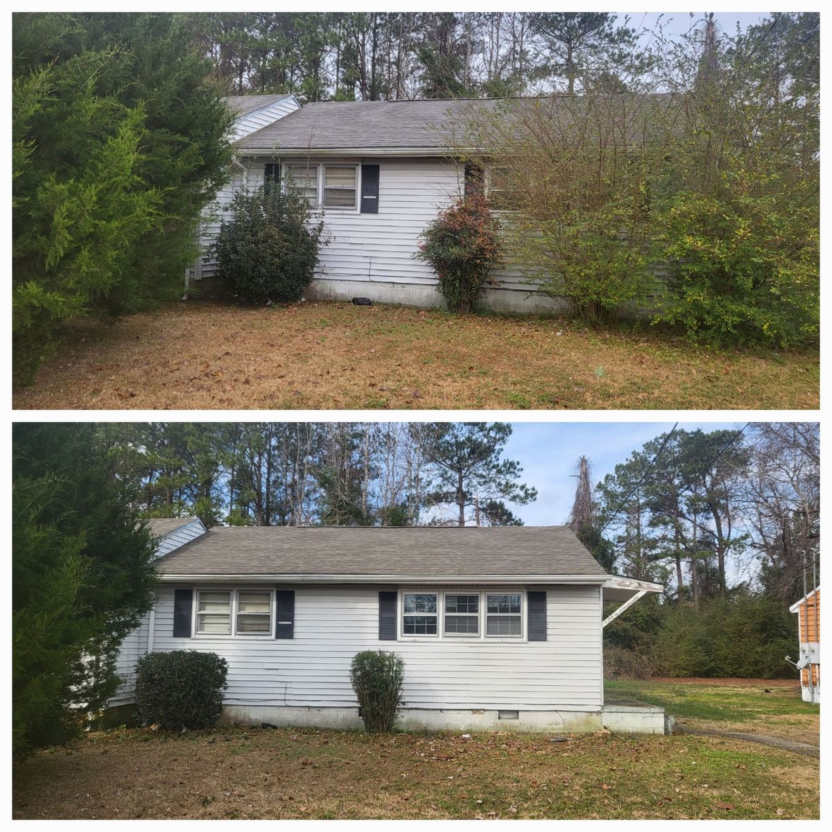 Hedge Work for Heroy's Lawn Services in Jacksonville, North Carolina