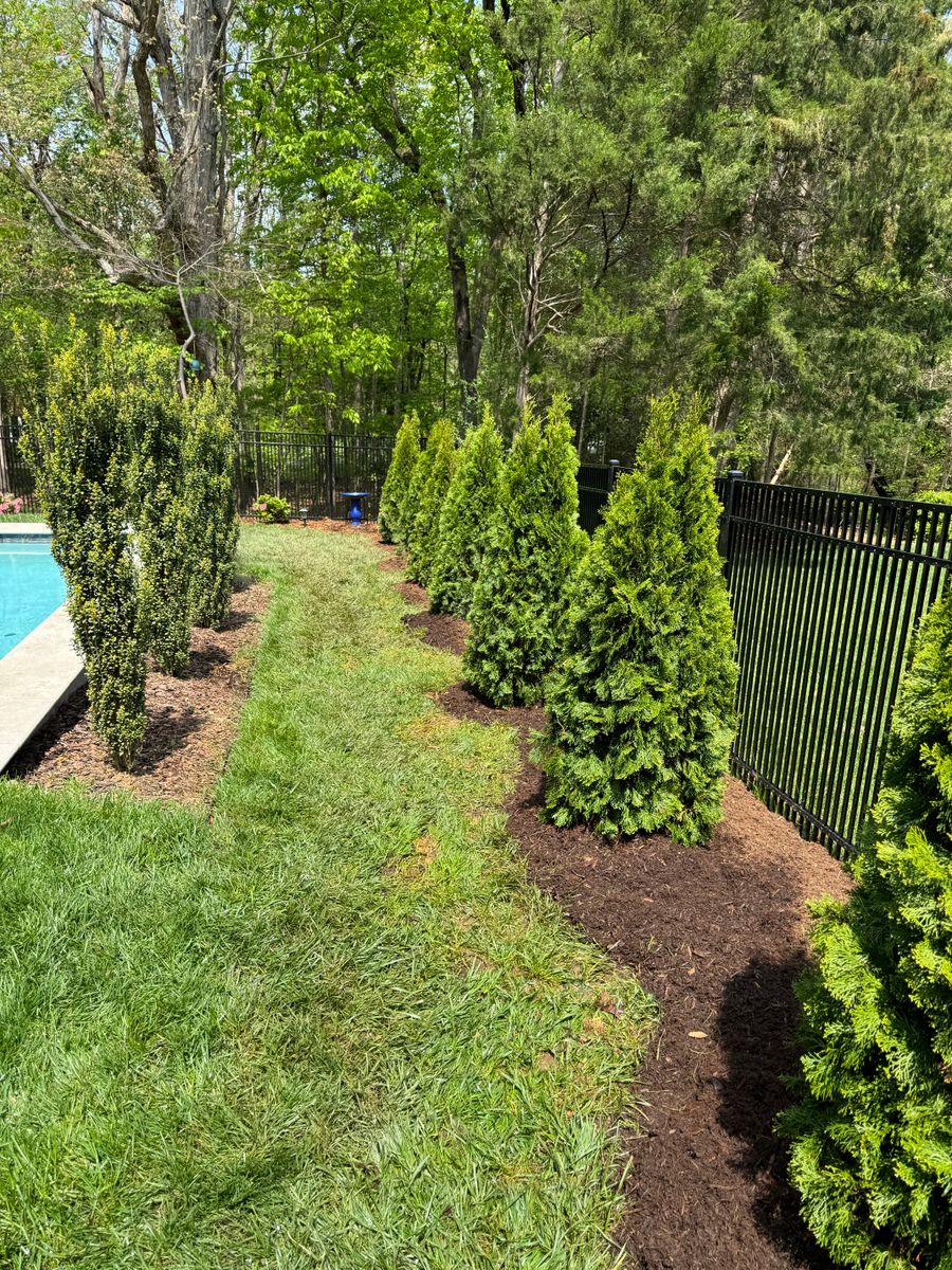 Landscape Installation for Upcycled Landscape and Design in Charlotte, NC