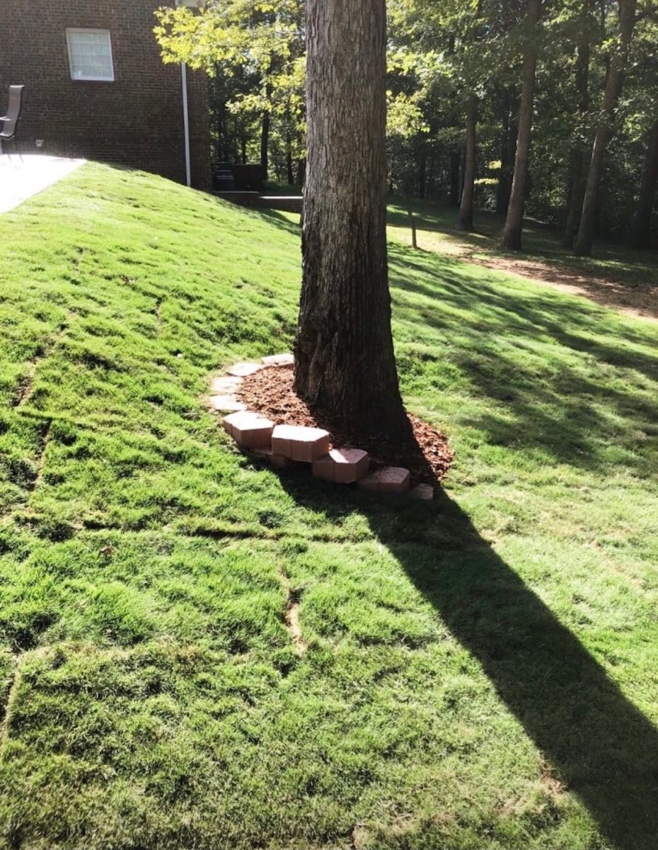 Landscape Installation for CSS Renovations in Huntsville, AL
