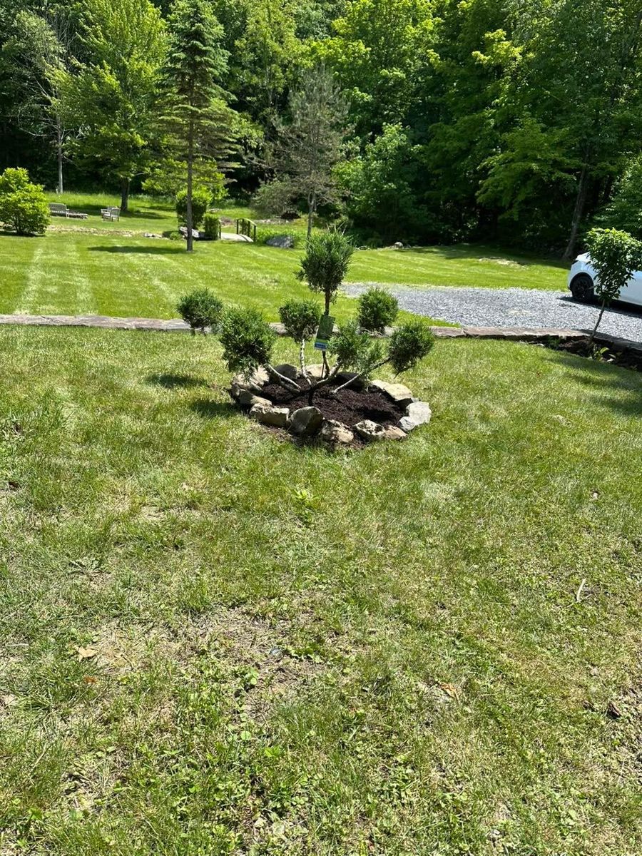 Fall Clean Up for Cuellar Lawn Care in Stone Ridge , NY 