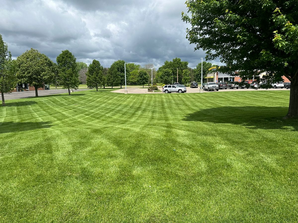 Lawn Care for Pro-Care LLC in Hudson, WI