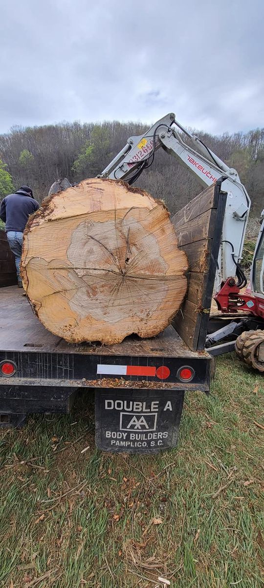 Tree Removal for Platas Landscaping & Tree Service in Clyde, NC