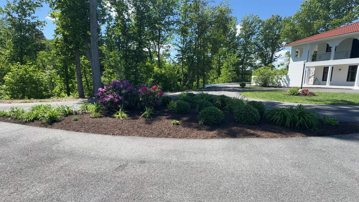 Complete Lawn Renovation for Solid Ground Outdoor Living Solutions in Seaford, DE