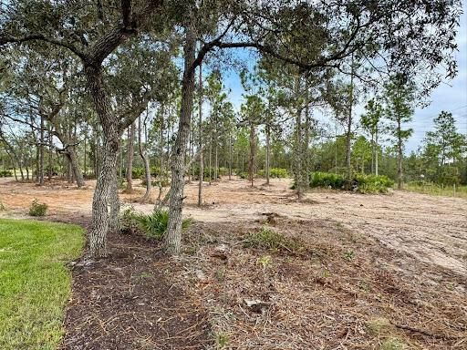 Land Clearing & Demolition for All American Excavating Inc in Brooksville,  FL