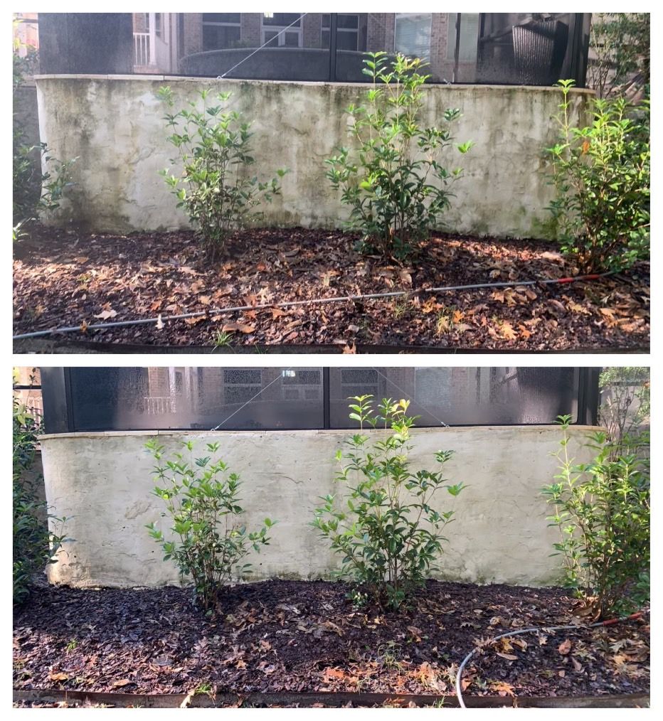 Hardscape Cleaning for semperfi softwash in Tool, TX