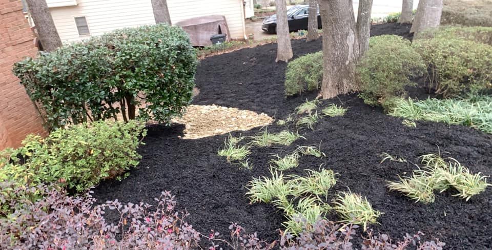 Weed Control for Adams Landscape Management Group LLC. in Loganville, GA