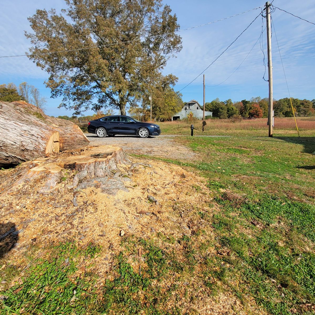 Stump grinding for Z's Land Management & Forestry Mulching in Smithville, TN