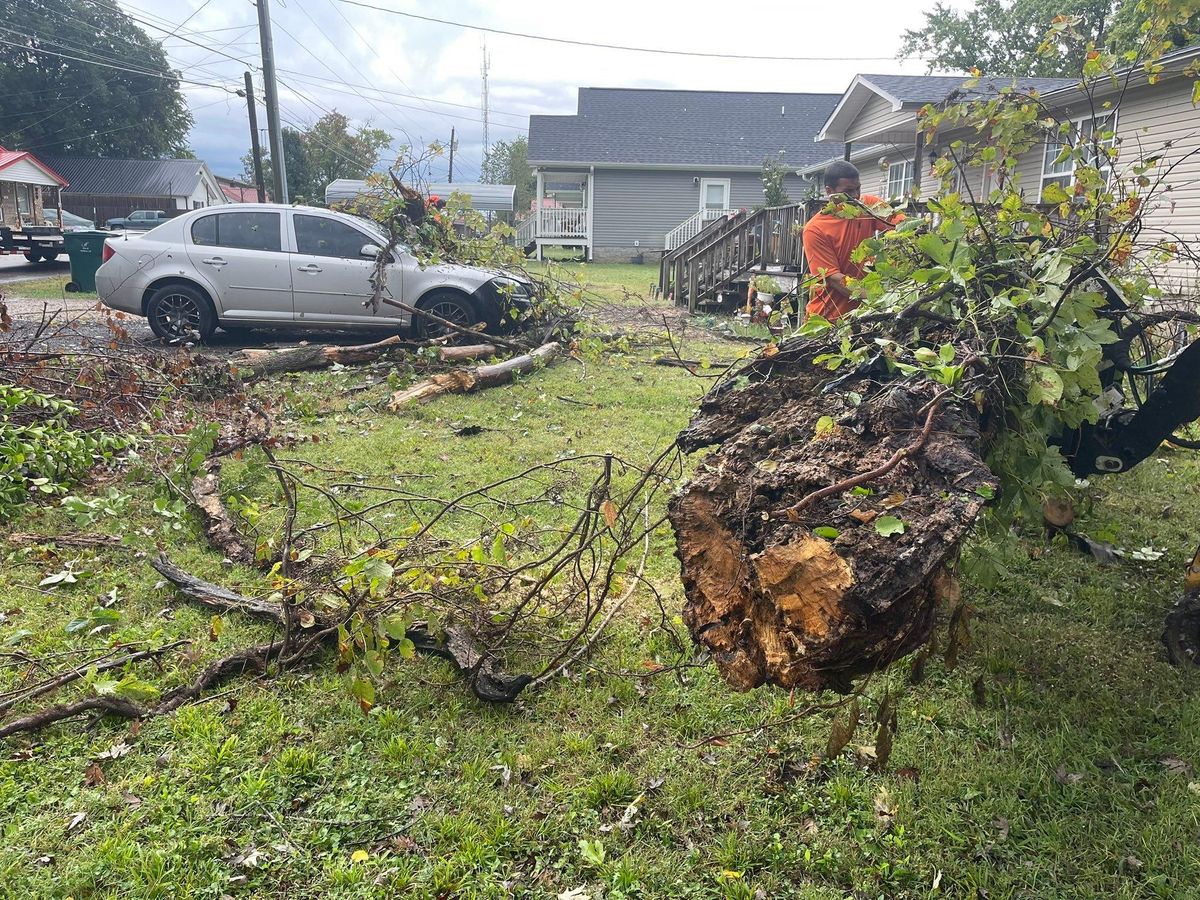 Tree Trimming for Ross Family Tree Service LLC  in Hohenwald, TN