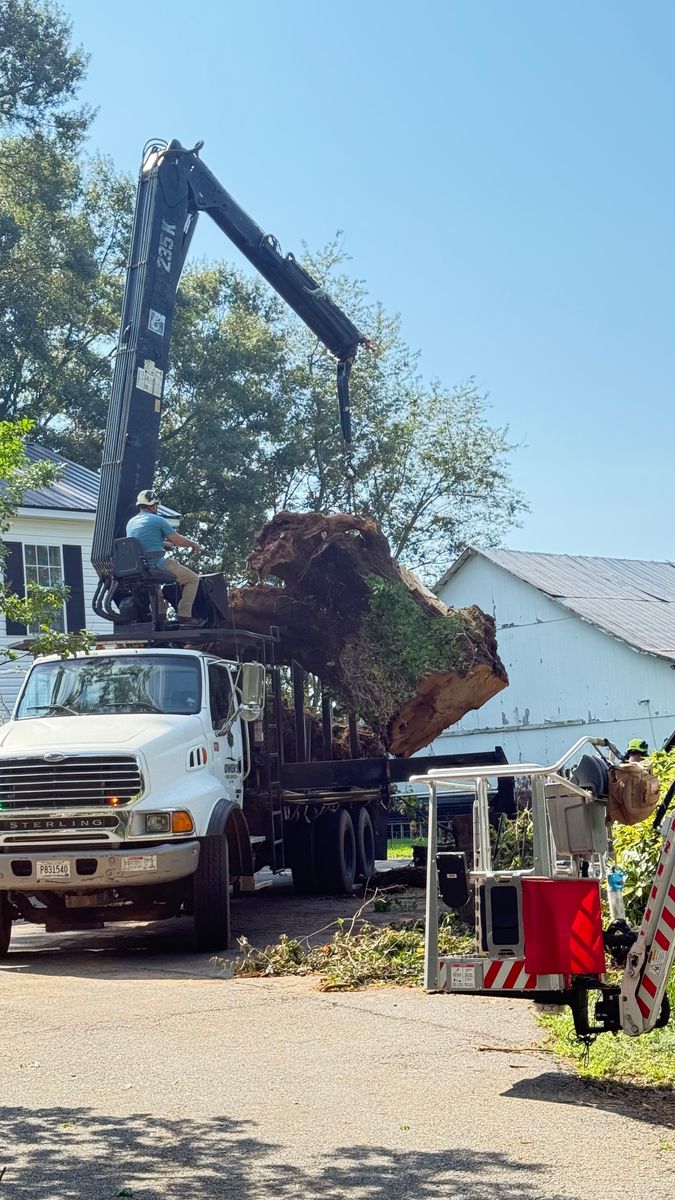 Tree Removal for Owens Tree Services in Inman, SC