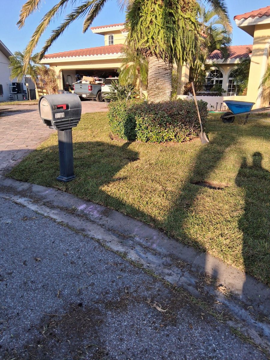Landscape Design for Gulf Bay Sod in Clearwater, FL