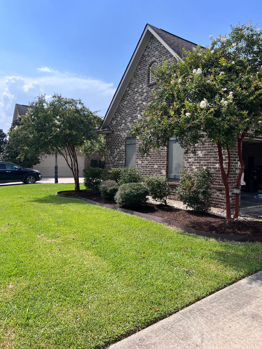 Shrub Trimming for Lawn Rangers in Baton Rouge,  LA