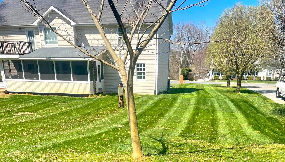 Lawn Maintenance for Diamond Lawn & Land Maintenance in Jonesborough, TN