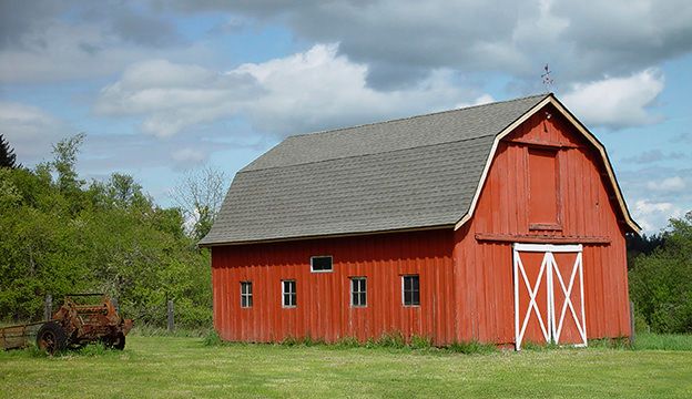 Barns for Florida Native Equestrian Services in Central Florida, FL