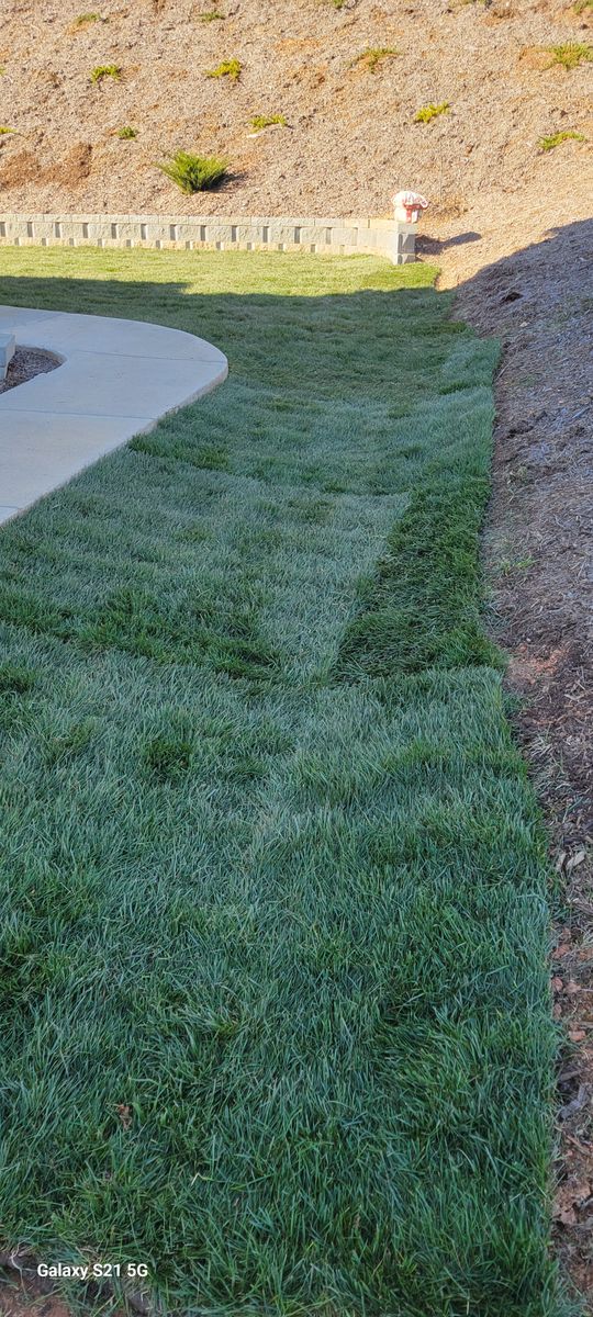 Sod installation for C4 TrueVision Renovations in Asheville, NC