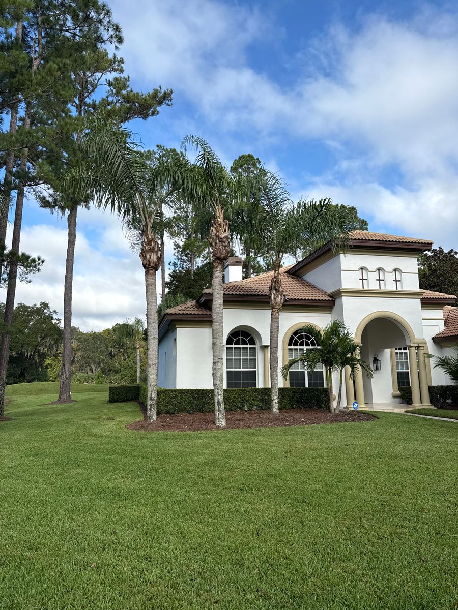Tree Pruning for Amerigrown Tree And Lawn in Apopka, FL