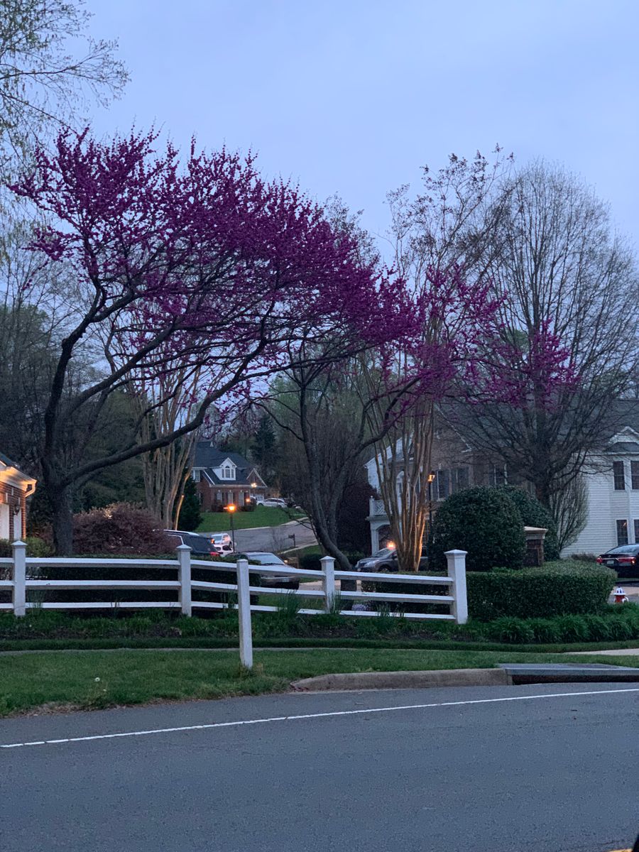 Lawn Care & Maintenance for R Merkli Inc. in Mount Vernon , VA
