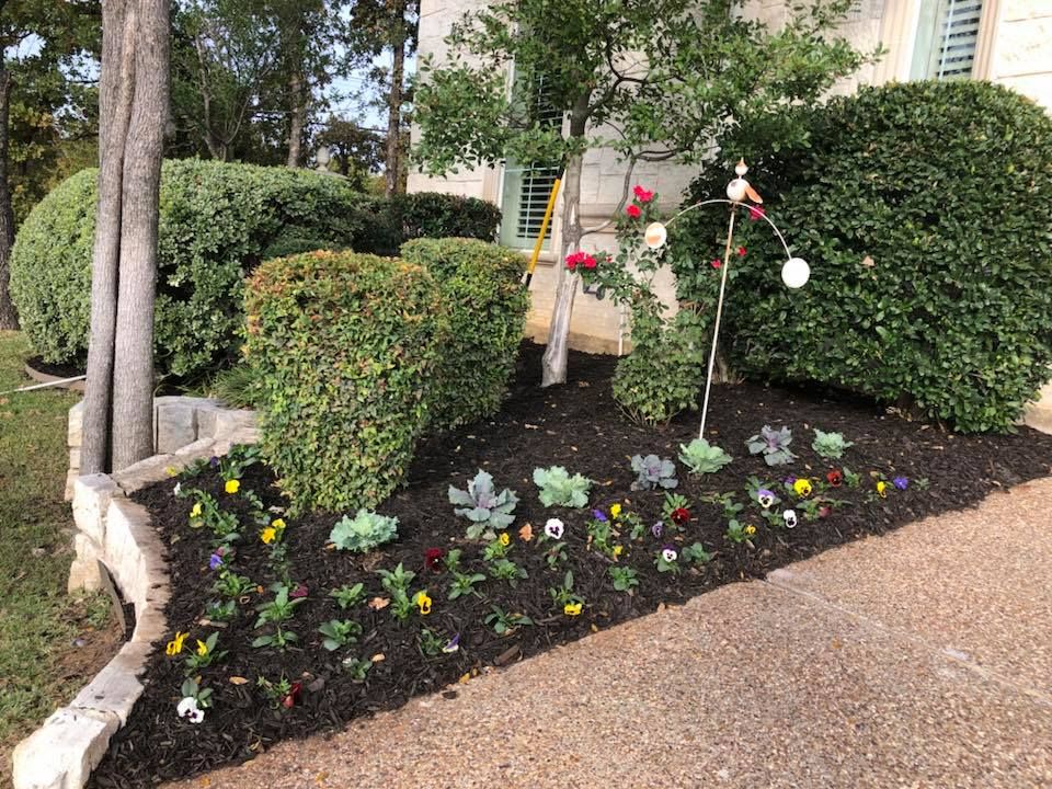 Shrub Trimming for E&D Landscape Services in Mansfield, TX