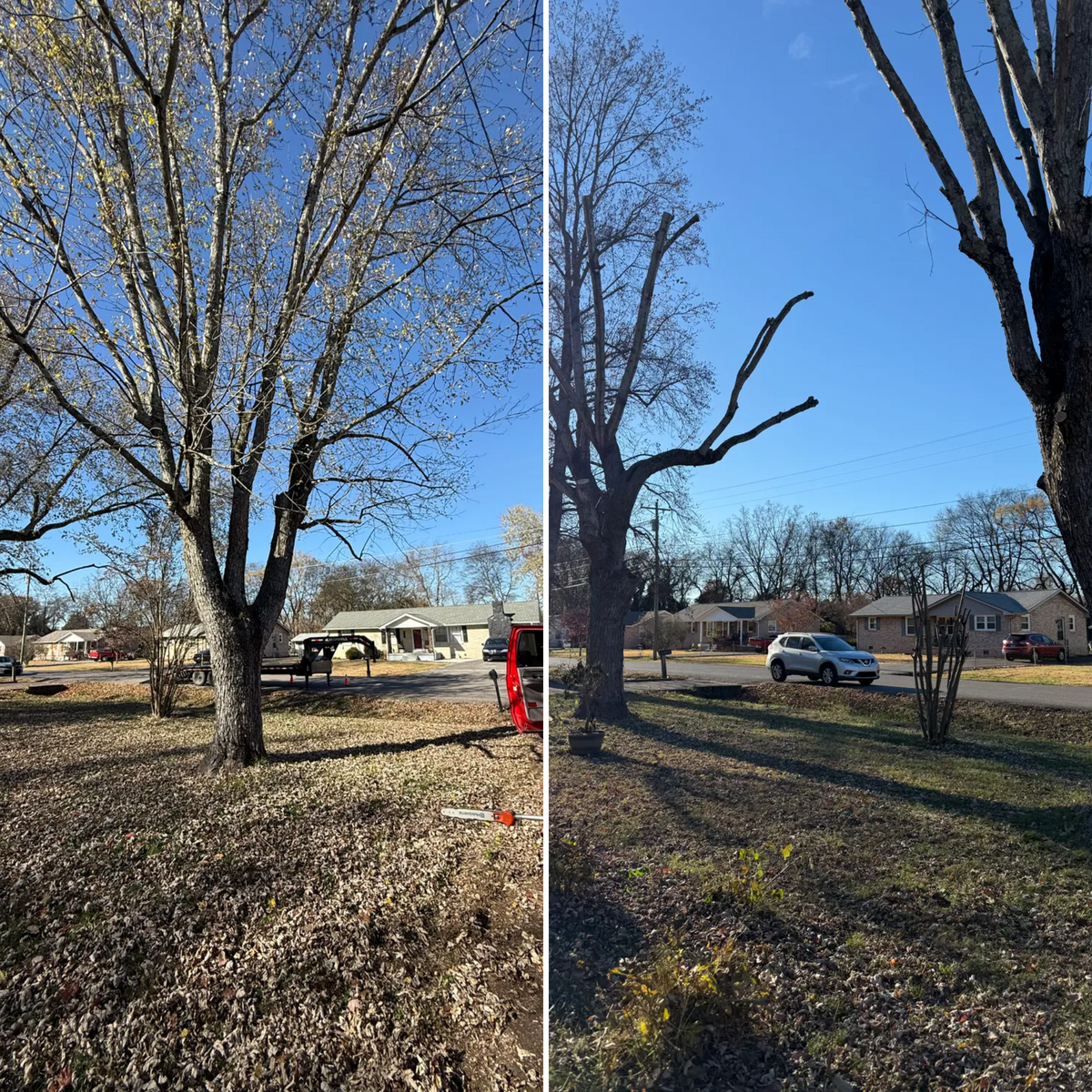 Landscape Design for Arnold’s Outdoor Solutions in Woodbury, TN