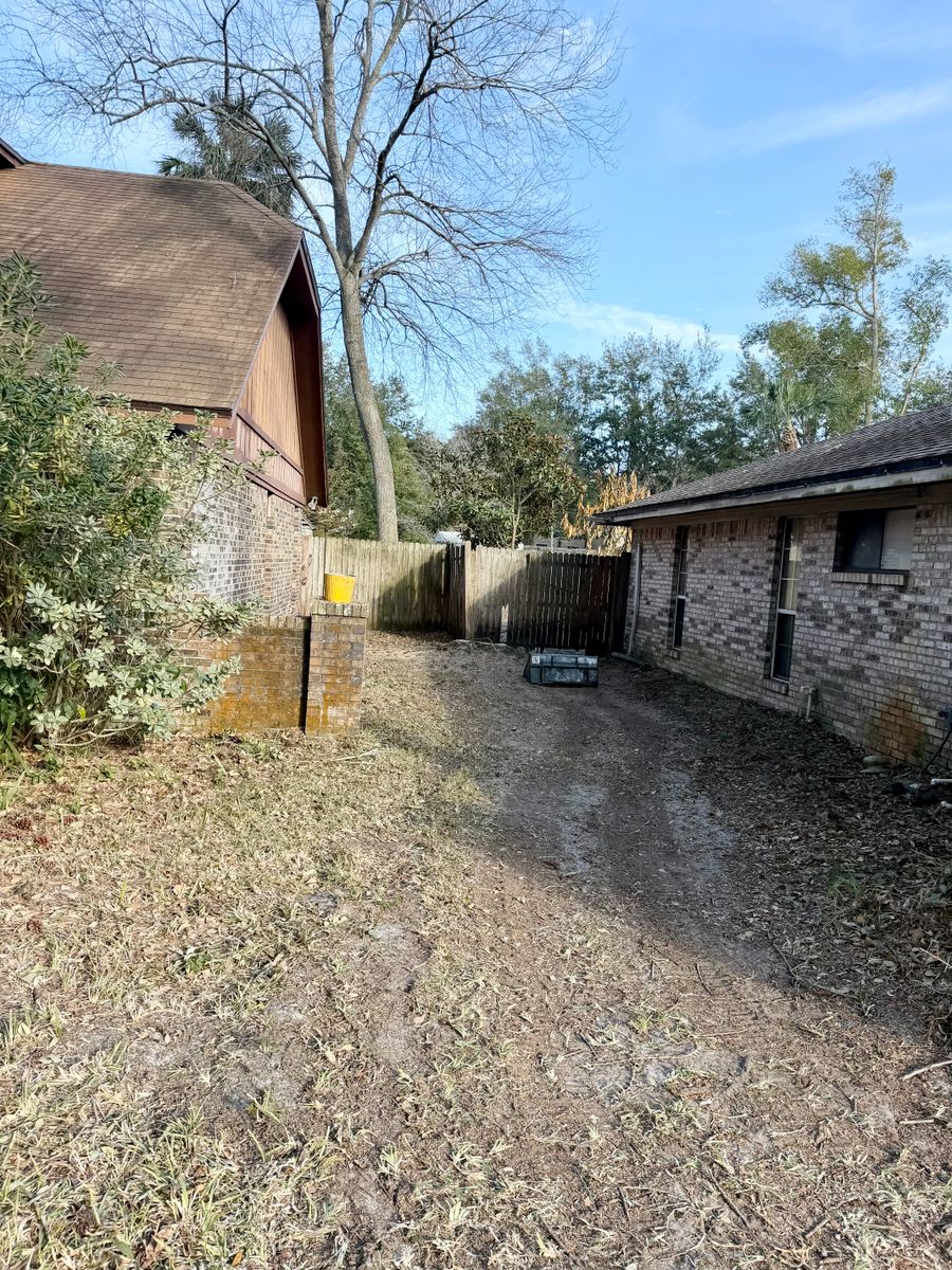 Fall Clean Up for Top Notch Tree Experts in Orange Park, FL