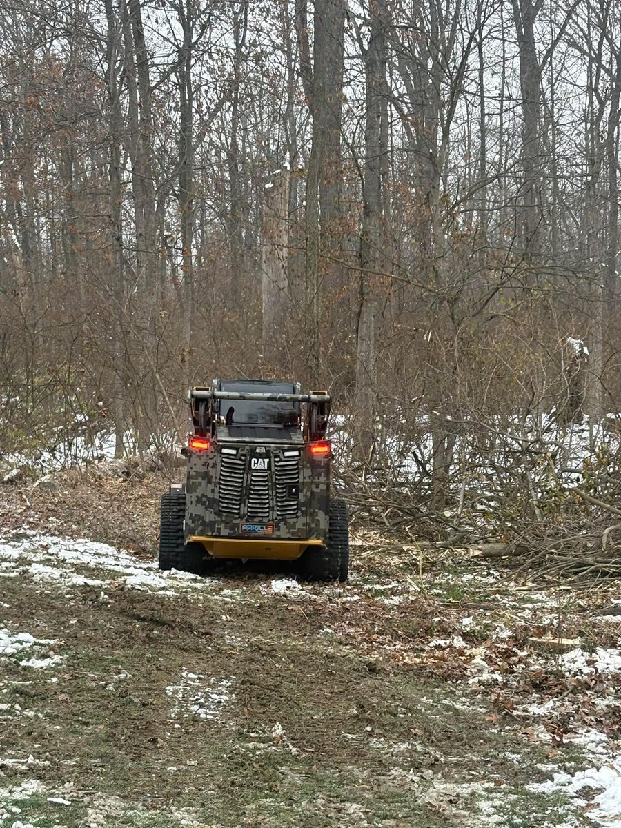 Tree Removal for Dig-It Tree Company in Mason, OH