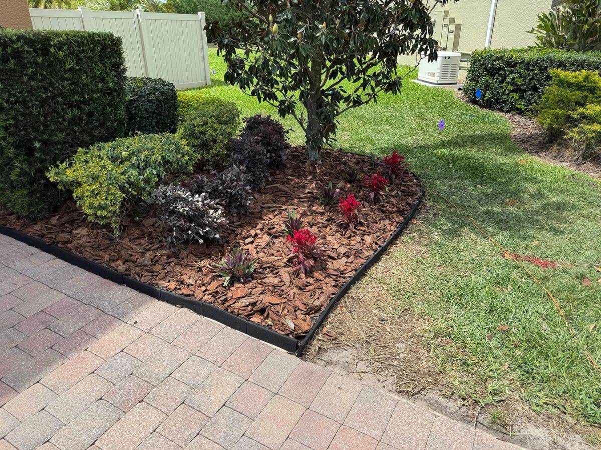 Tree Pruning for Amerigrown Tree And Lawn in Apopka, FL