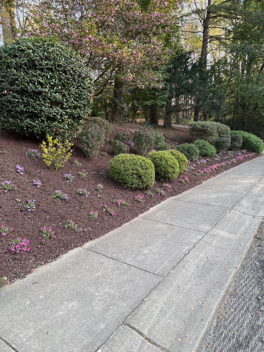 Shrub Trimming for Southern Star Landscaping LLC in Catawba, NC