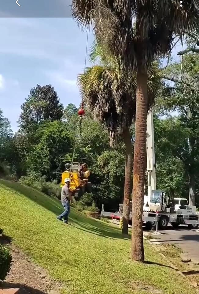Tree Removal for Trees Unlimited of the CSRA in Augusta, GA