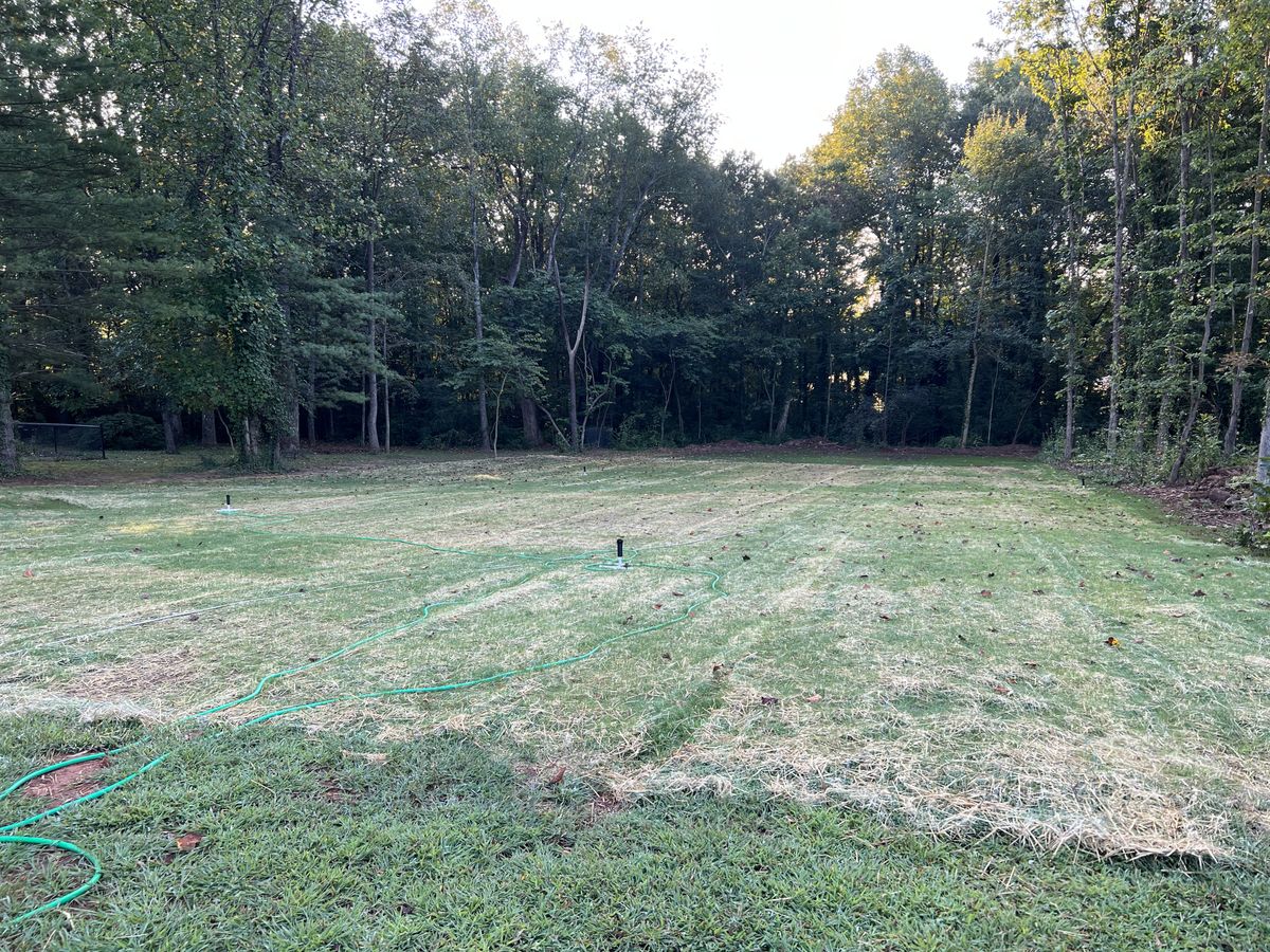 New Lawn Installation for Virginia Yard Pros in Appomattox, VA