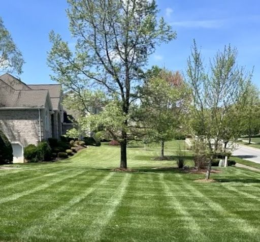 Lawn Maintenance for Diamond Lawn & Land Maintenance in Jonesborough, TN