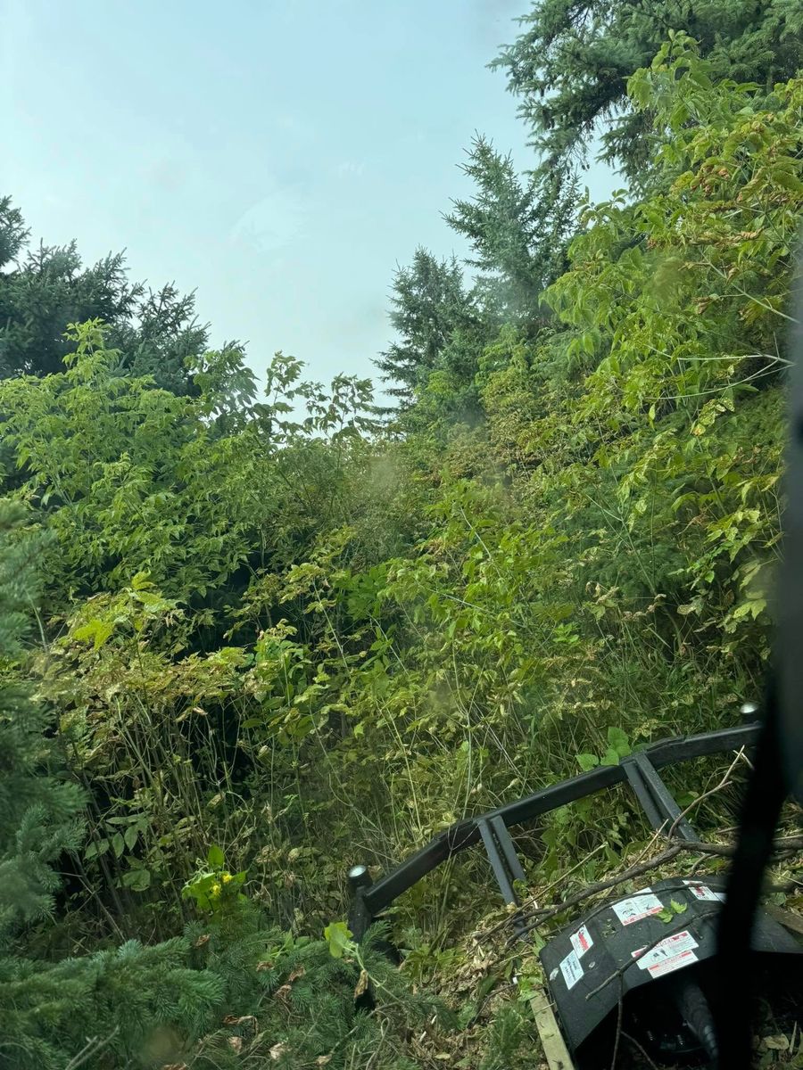 Land Clearing for RTK Co. Land Management in Raymond, MN