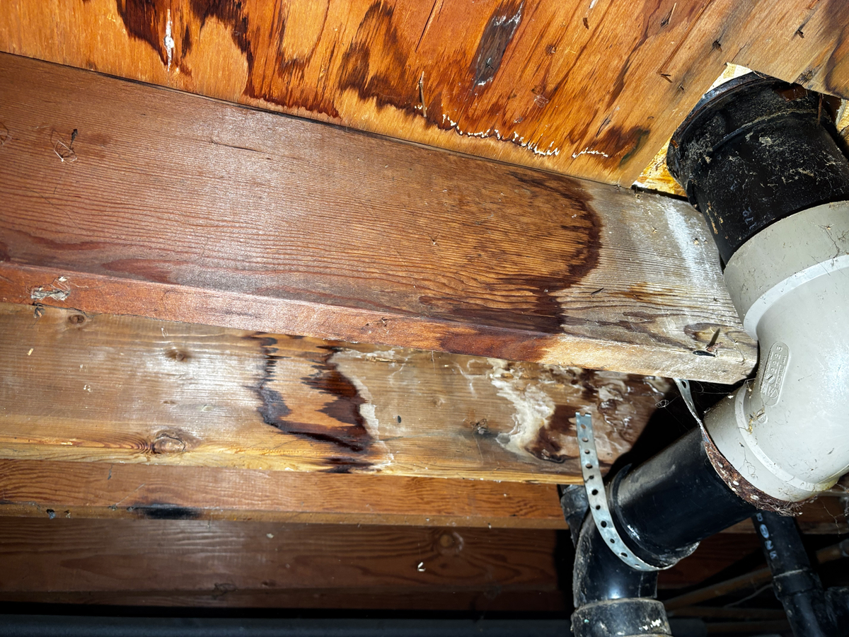 Mold Inspections for Lira Home Inspections in Concord, CA
