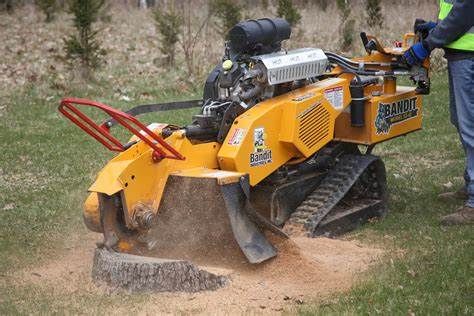 Stump Grinding & Tree Removal for Green Shoes Lawn & Landscape in Cincinnati, OH