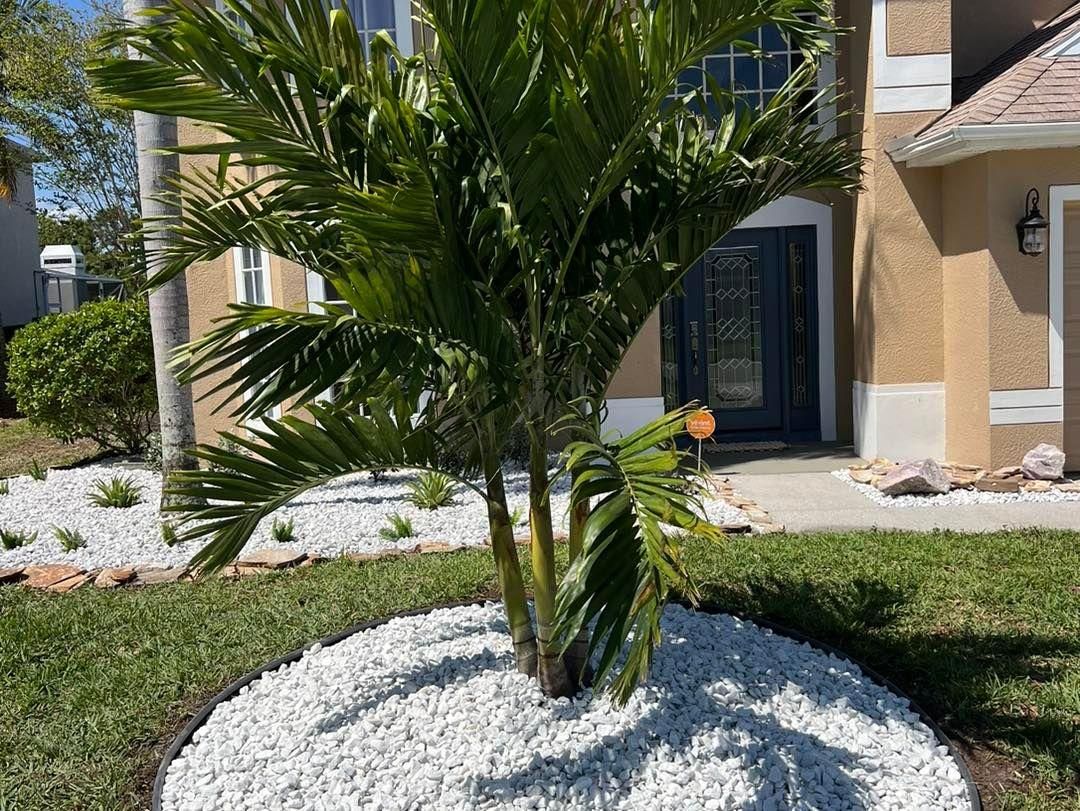 Shrub, Hedge and Small Tree Trimming for Florida Pro Turf in  Viera, FL