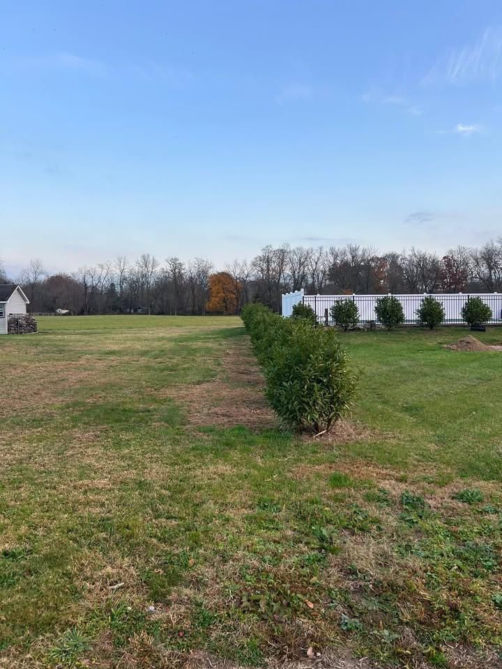 Shrub Trimming for Hingewood Tree Service in Salem, NJ