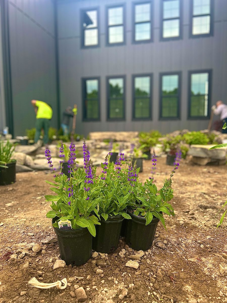 Planting & Pruning for Tony Monaco Landscaping Inc. in Orange County, NY