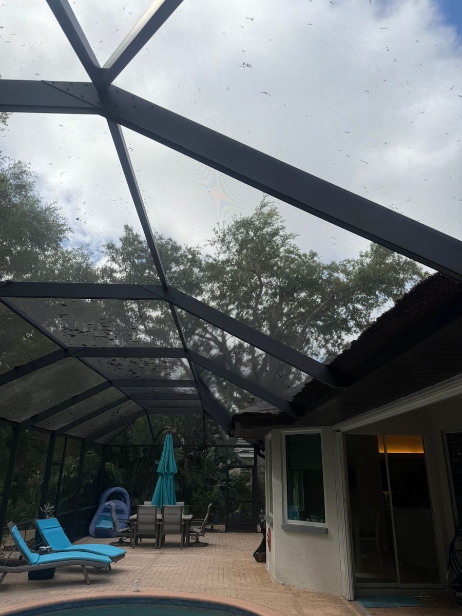 Pool Cage Cleaning for My Soft Wash Guys in Venice, FL