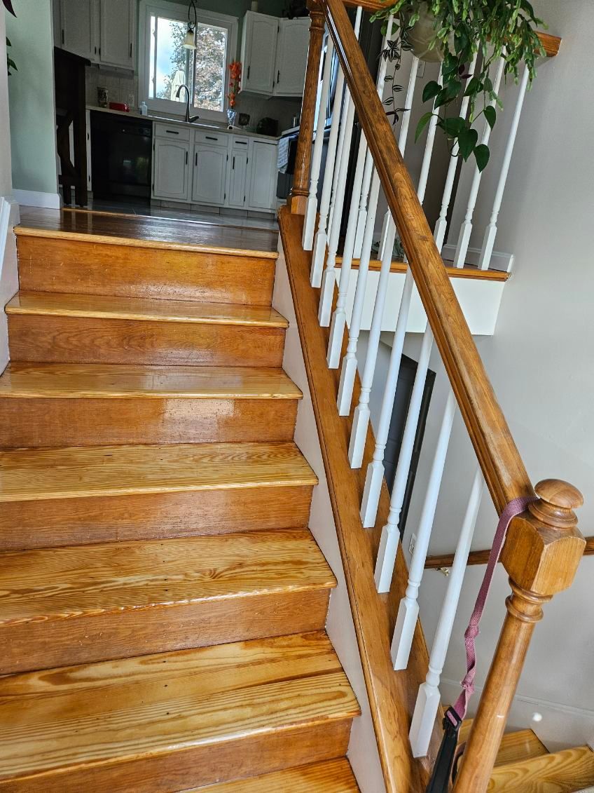 Staining for LR Painting in Springfield, MA